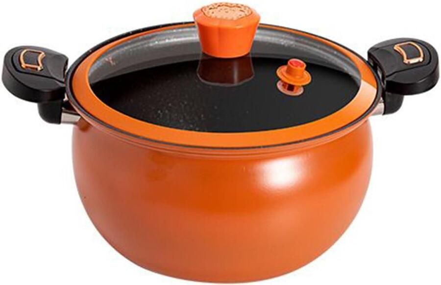Snelkookpan Drukpan Kookpan Snel Koken Antiaanbaklaag Deksel 17 x 28.6 cm Meerkleurig