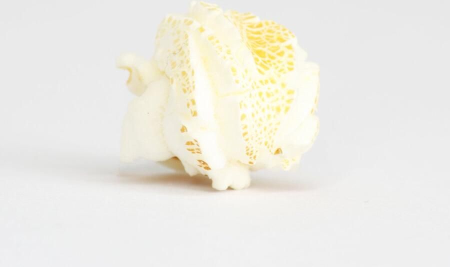 SnelShoppen Popcornloop Mushroom Popcornmais 2 kg Veganistisch Glutenvrij Bioscoopkwaliteit Voor Popcornmachines Feest Camping Keuken