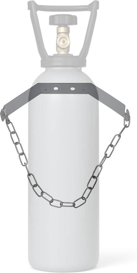 CO2 fleshouder 2-10 kg roestvrij staal wandmontage veilig voor spuitwater machines SnelShoppen