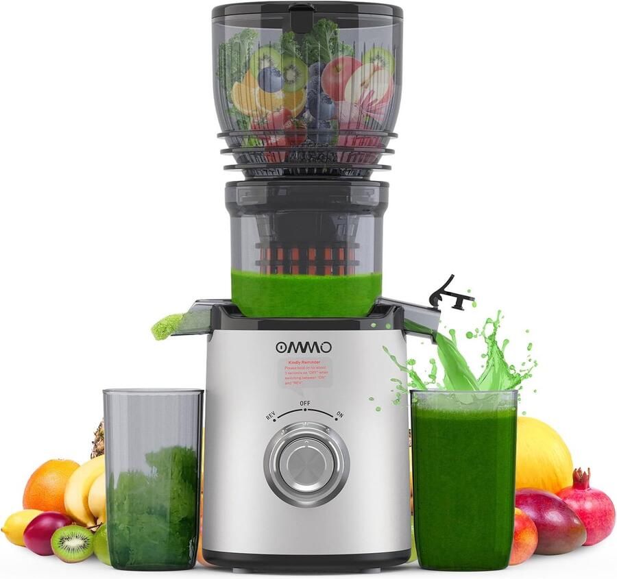 SnelShoppen Slow Juicer 300W Graft Safter voor Groenten en Fruit 148mm Brede Vulopening Eenvoudig Schoon te Maken BPA-vrij Zilver Keuken