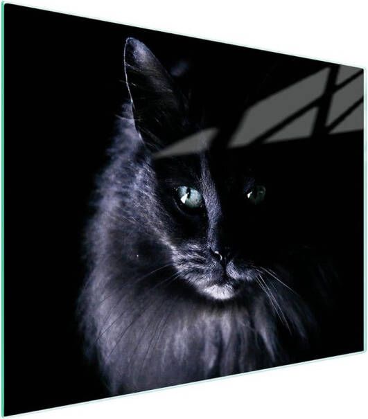 Snijplank van Glas 52 x 40 cm Decoratieve Afdekplaat voor Kookplaat en Snijden