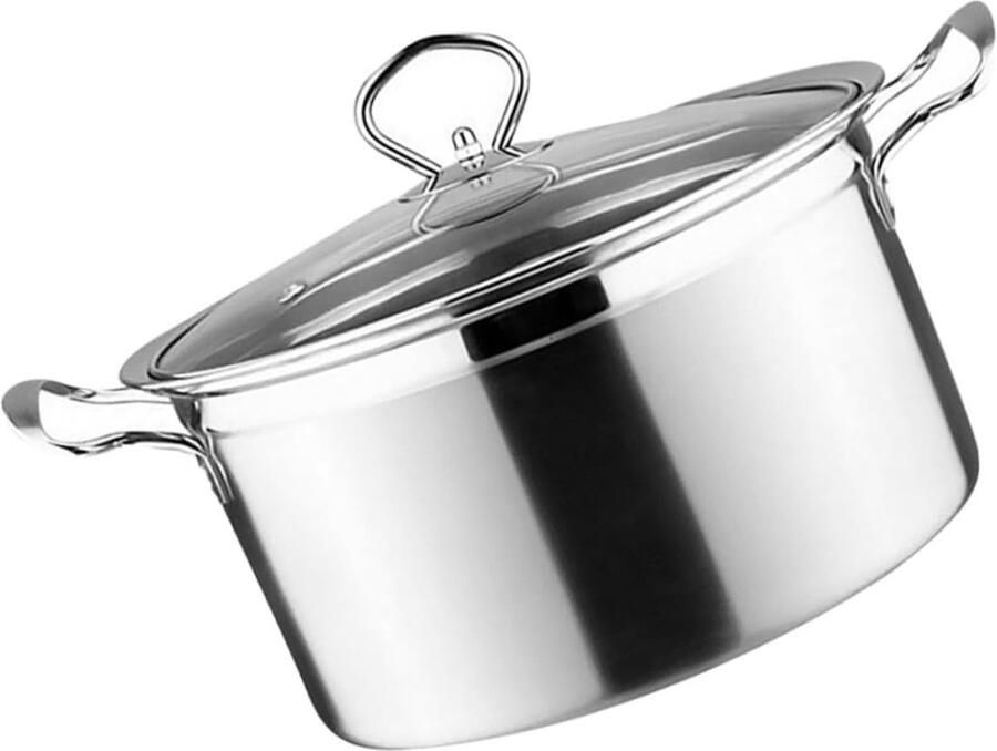 Soepkoker Roestvrijstaal Kookpan Melkpan Energiebesparend Koken Aanbak Geschikt 20 x 265 x 14 cm Zilver