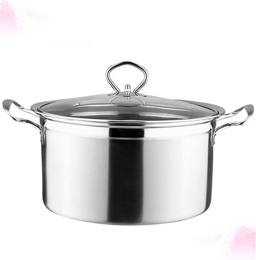 Soeppan Inductie Kookpan Roestvrijstaal Snel Maaltijden Bereiden Gelijkmatige Warmteverdeling 20x14CM Zilver