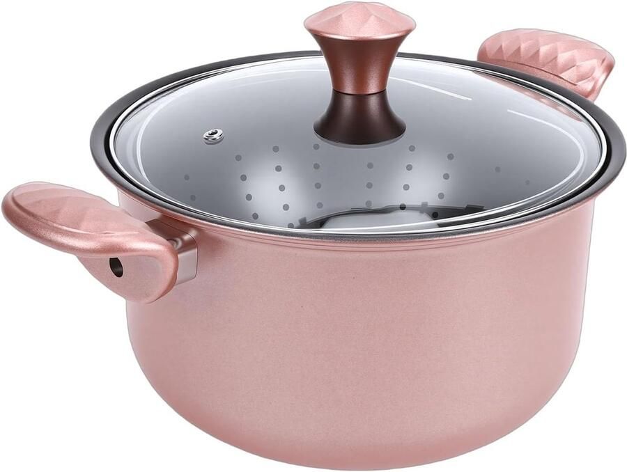Soeppan Roestvrijstaal Kookpot Stoofpan Familie Maaltijden Gelijkmatige Warmteverdeling 26 Cm Diameter