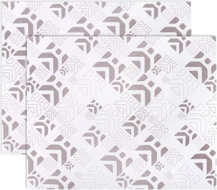 Solidchoice 2 Stuks Plakfilter voor Afzuigkap 57 x 47 cm