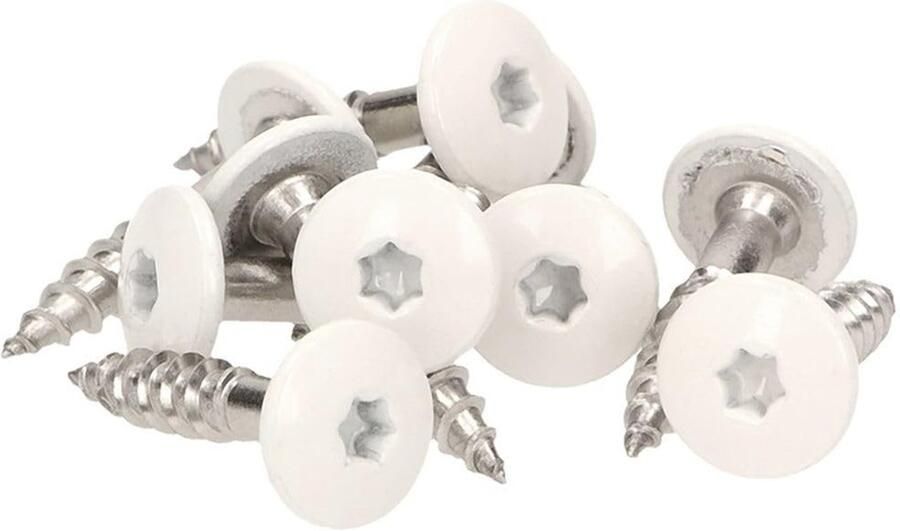 Solidchoice Set van 100 Facadeschroeven INOX V4A 0.5 x 25 mm