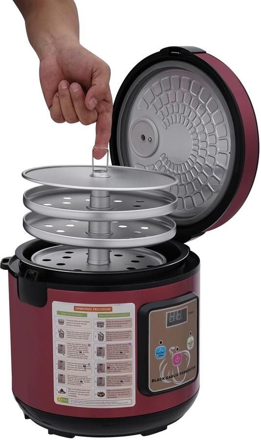 Solidchoice Zwarte knoflookfermenter 5 liter Volautomatische fermentermachine