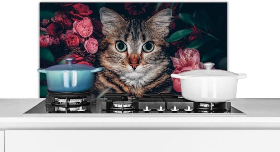 Spatbeschermer Keuken Achterwand Keuken Koken Beschermen Waterdicht en Hittebestendig 90x45 cm Multicolor