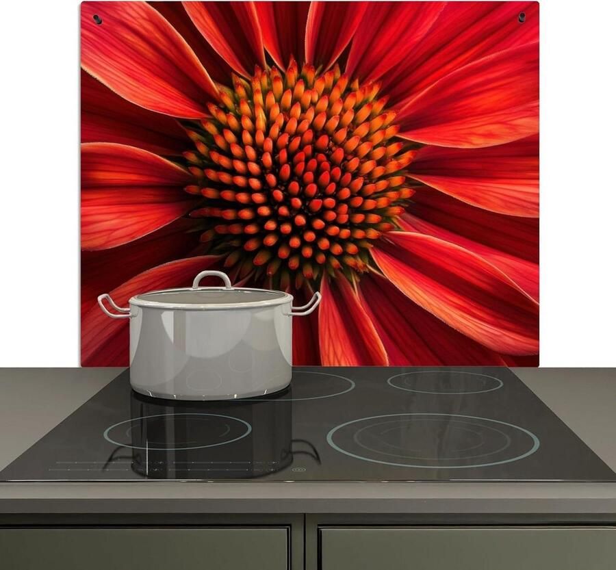 Spatbeschermer Keuken Kookplaat Achterwand Keukenwand Beschermen 2-in-1 Functie 52x60 cm Bloem Rood
