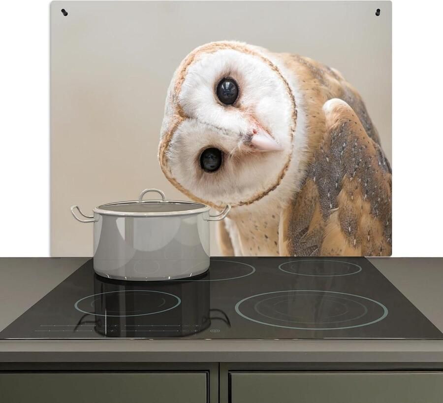 Spatbeschermer Keuken Wandbeschermer Kookplaat Keukenwand Beschermen 2-in-1 Functie 52x80 cm Beige