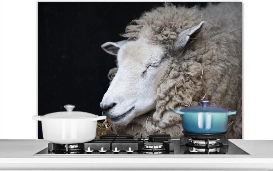 Spatbeschermer Keuken Wandpaneel Koken Beschermen Scherpe Fotoprint 100x65 cm Multicolor