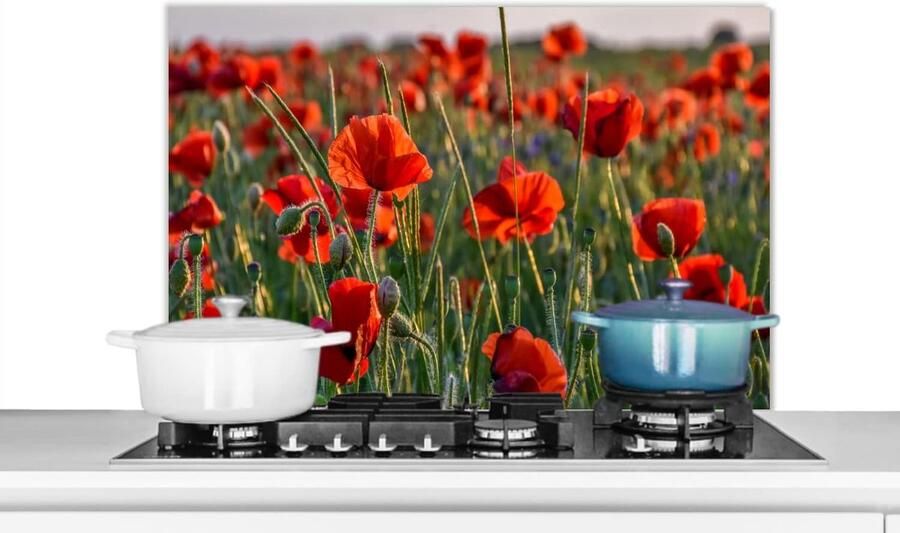 Spatbeschermer Keuken Wandpaneel Koken Beschermen Scherpe Fotoprint 90x60 cm Multicolor
