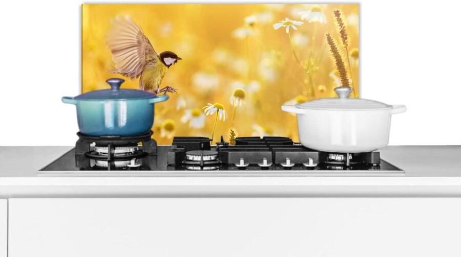 Spatbescherming Keuken Achterwand Plaat Koken Beschermen Scherpe Fotoprint 60x30 cm Multicolor