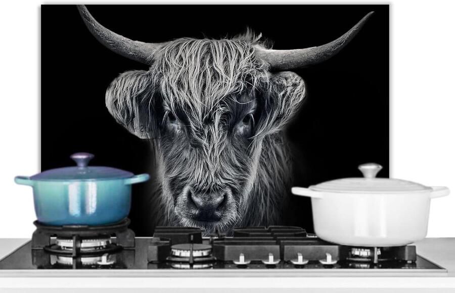Spatscherm Keuken Achterwand Beschermer Kookplaat Beschermen Unieke Foto Print 60x40 cm Zwart Koe