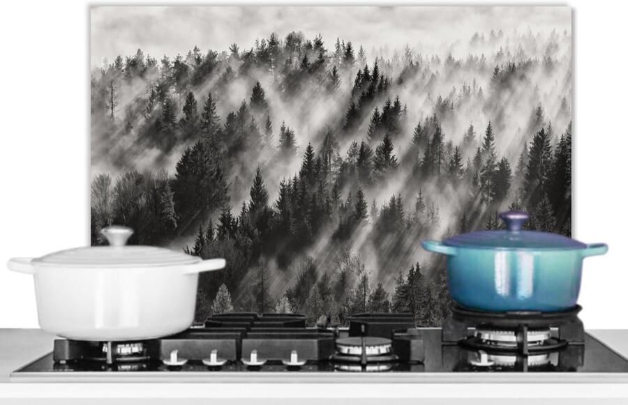 Spatscherm Keuken Achterwand Beschermer Kookplaat Beschermen Zonder Boren Ophangen 60x40 cm Mist Landschap