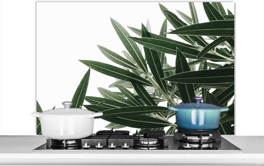 Spatscherm Keuken Achterwand Keuken Kookplaat Beschermen Luxe Aluminium 100x65 cm Veelkleurig - Foto 1