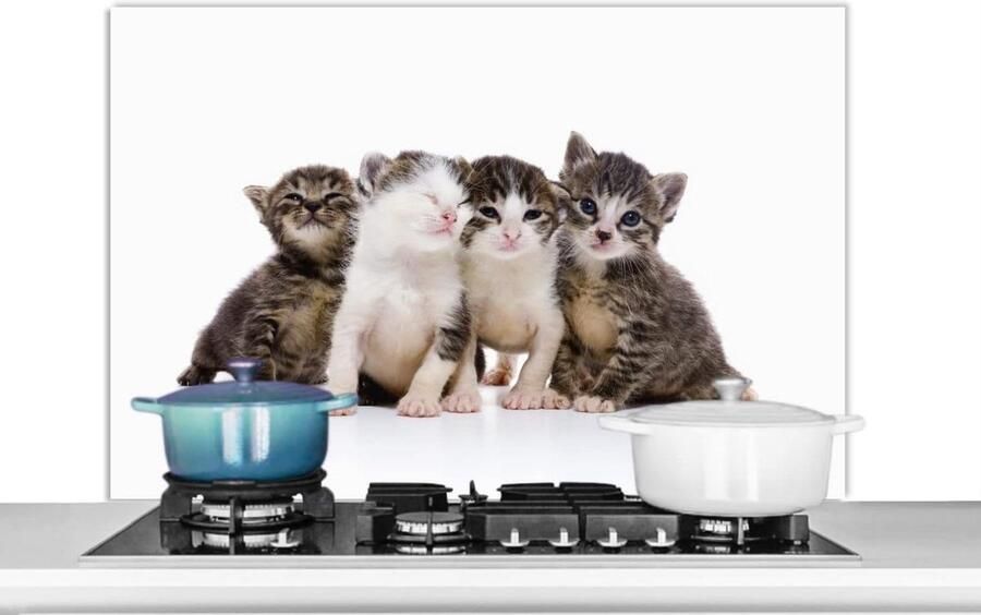 Keuken Spatscherm Spatwand Achterwand Koken Beschermen Scherpe Fotoafdruk 100x65 cm Veelkleurig