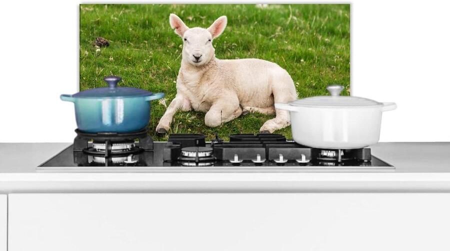 Spatscherm Keuken Spatwand Aanrecht Kookplaat Beschermen Luxe Aluminium 60x30 cm Veelkleurig
