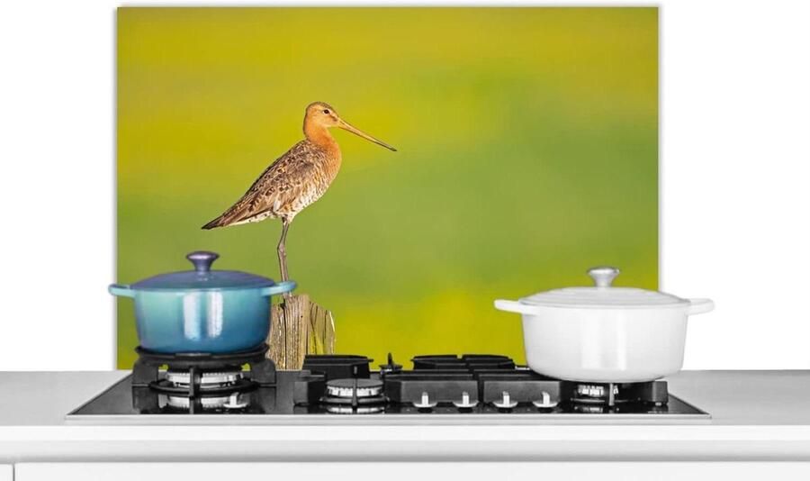 Spatscherm Keuken Spatwand Aanrecht Kookplaat Beschermen Scherm met Vogelprint 80x55 cm Veelkleurig