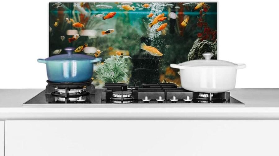 Spatscherm Keuken Spatwand Achterwand Koken Beschermen Unieke Fotoafdruk 70x30 cm Veelkleurig