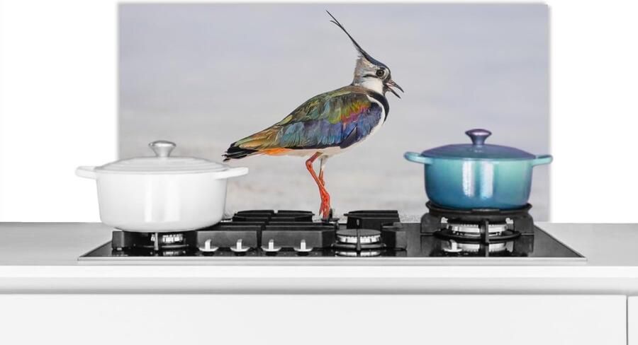 Spatscherm Keuken Spatwand Achterwand Kookplaat Beschermen Hittebestendig Lichtgewicht 90x45 cm Veelkleurig
