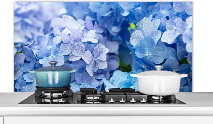 Spatscherm Keuken Spatwand Achterwand Kookplaat Beschermen Luxe Aluminium 120x60 cm Blauw