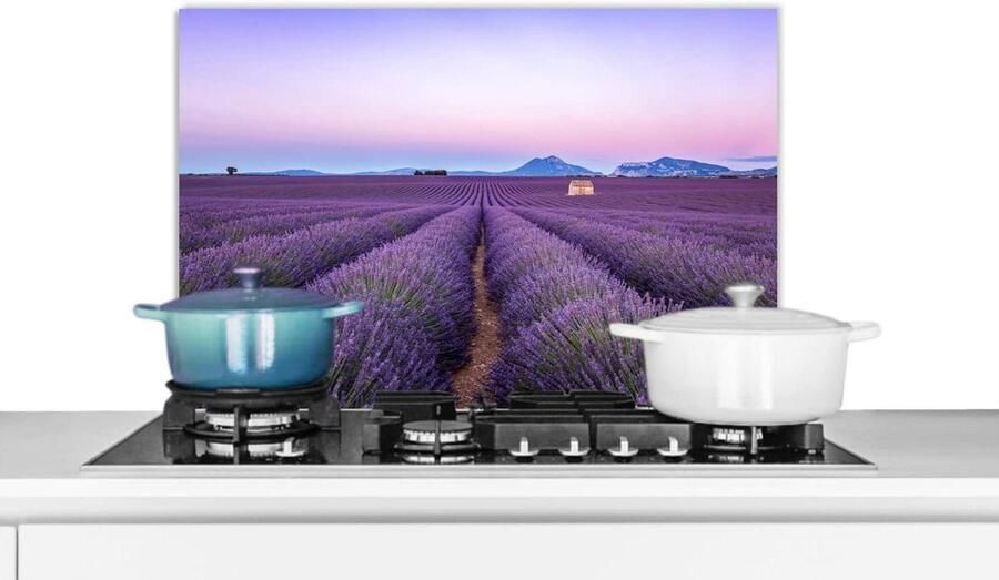 Spatscherm Keuken Spatwand Achterwand Kookplaat Beschermen Scherpe Fotoafdruk 70x50 cm Veelkleurig