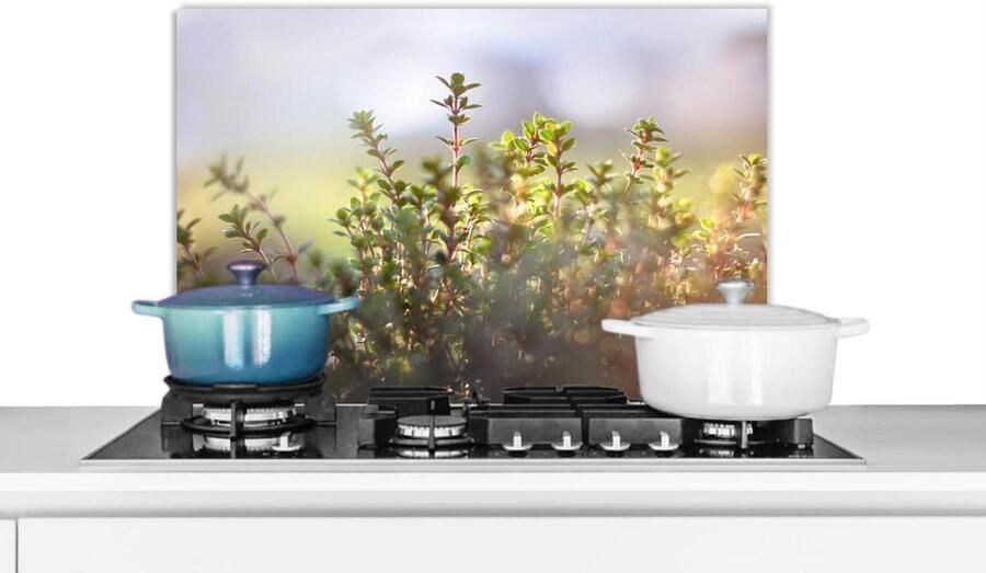Keuken Spatscherm Spatwand Achterwand Koken Beschermen Unieke Fotoafdruk 70x50 cm Veelkleurig