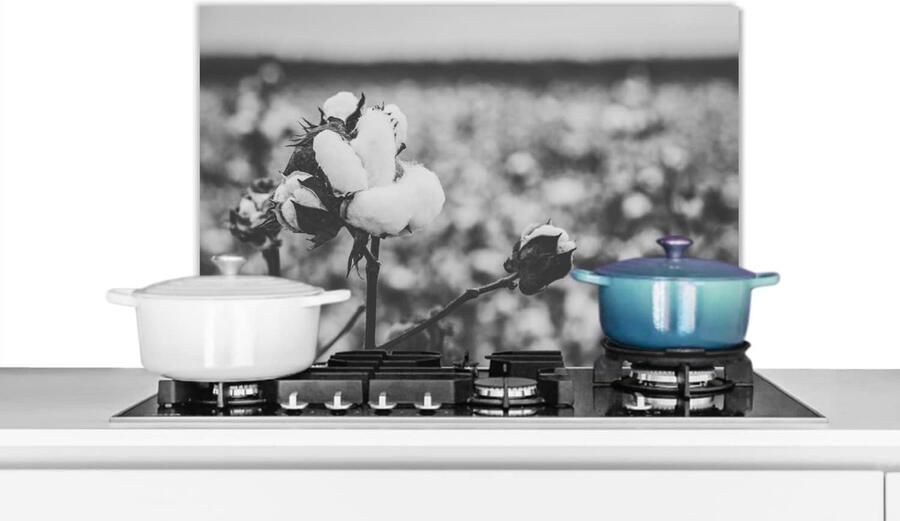 Spatscherm Keuken Spatwand Wandpaneel Koken Beschermen Unieke Fotoafdruk 60x40 cm Zwart Wit