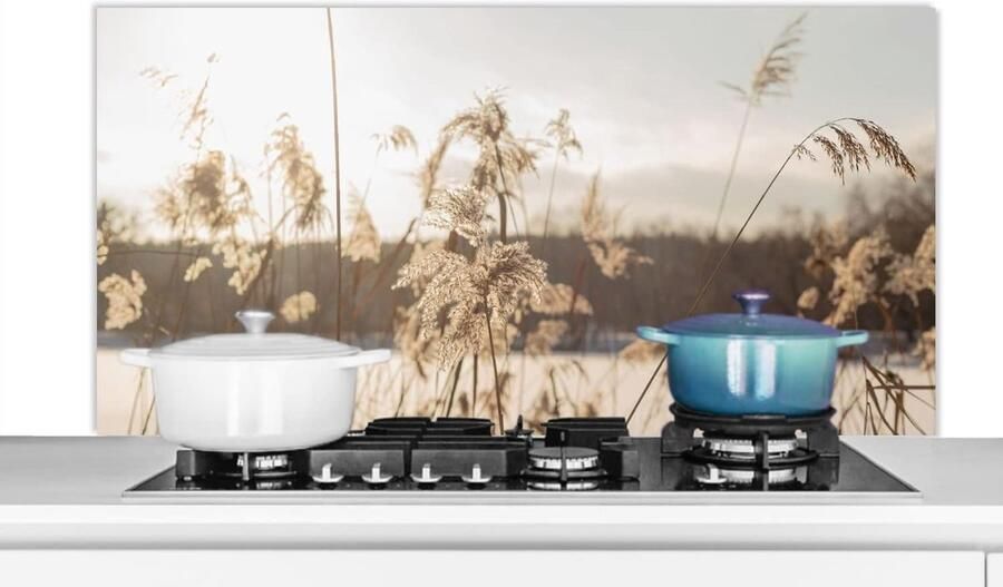 Spatscherm Keuken Wandpaneel Achterwand Koken Beschermen Luxe Aluminium 120x60 cm Veelkleurig