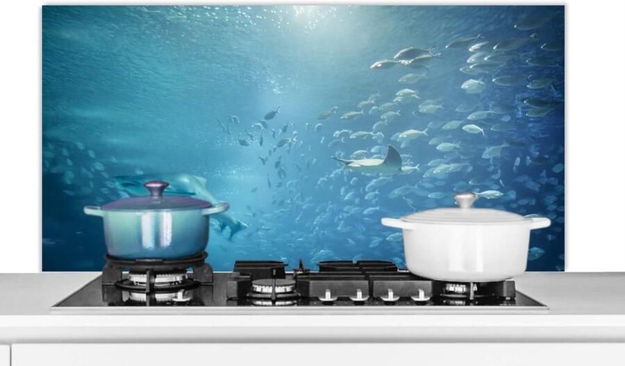 Spatscherm Keuken Wandpaneel Achterwand Koken Beschermen Luxe Aluminium 120x60 cm Veelkleurig
