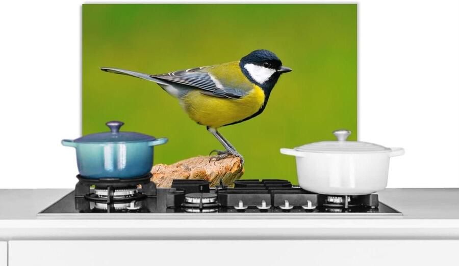 Spatscherm Keuken Wandpaneel Achterwand Koken Beschermen Luxe Aluminium 60x40 cm Groen Vogel