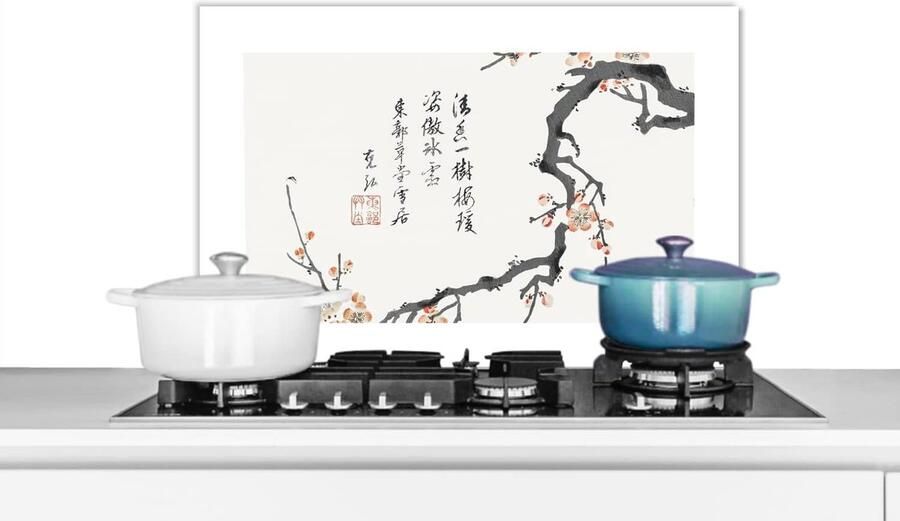Spatscherm Keuken Wandpaneel Achterwand Koken Beschermen Luxe Aluminium 70x50 cm Veelkleurig