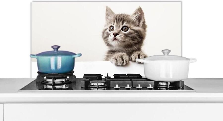 Spatscherm Keuken Wandpaneel Achterwand Koken Beschermen Scherpe Fotoafdruk 90x45 cm Veelkleurig