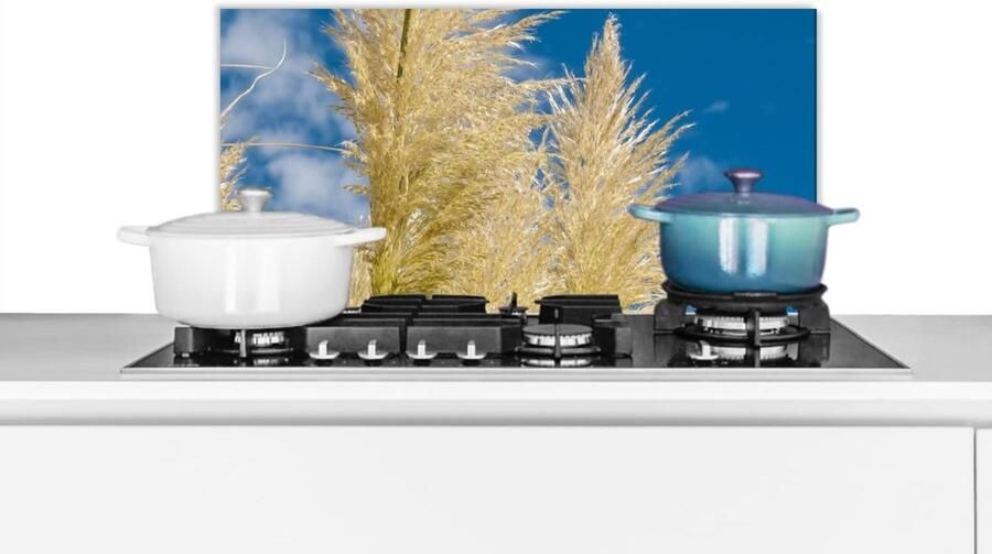 Spatscherm Keuken Wandpaneel Achterwand Kookplaat Beschermen Luxe Aluminium 70x30 cm Veelkleurig