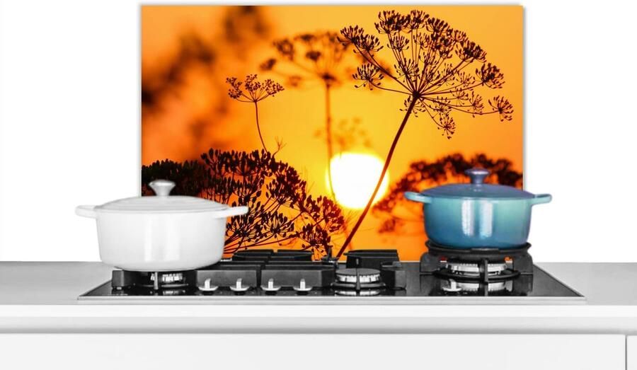 Spatscherm Keuken Wandpaneel Achterwand Kookplaat Beschermen Luxe Aluminium 70x50 cm Veelkleurig
