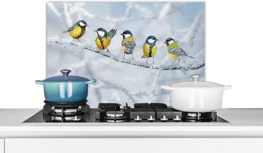 Spatscherm Keuken Wandpaneel Achterwand Kookplaat Beschermen Scherpe Fotoafdruk 60x40 cm Veelkleurig