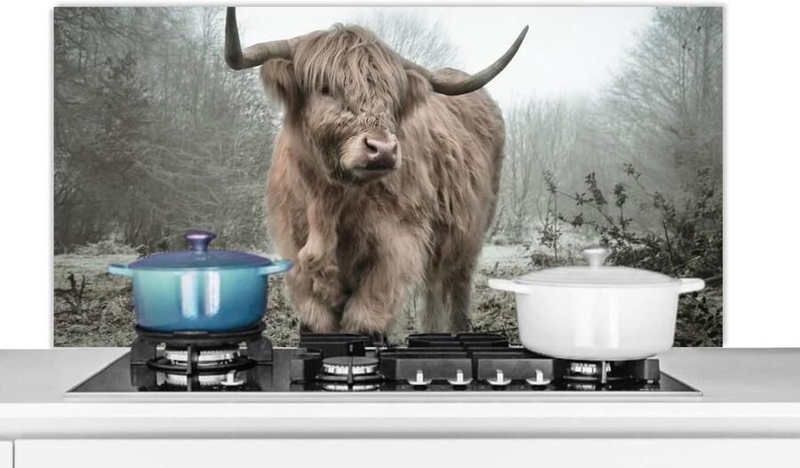 Spatscherm Keuken Wandpaneel Glas Kookplaat Beschermen Luxe Aluminium 120x60 cm Veelkleurig
