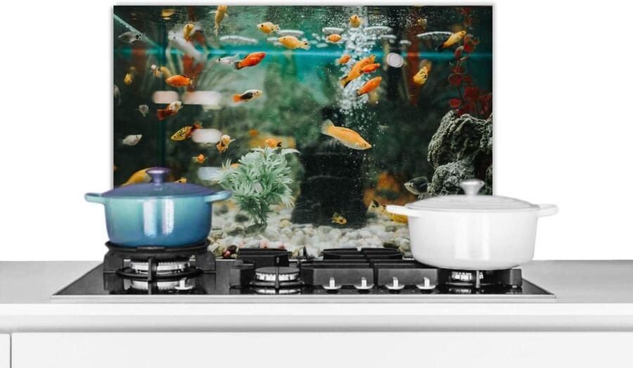 Keuken Spatscherm Spatwand Keuken Koken Beschermen Unieke Fotoafdruk 60x40 cm Veelkleurig