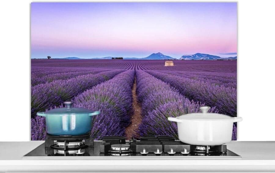 Spatscherm Keuken Wandpaneel Keuken Kookplaat Beschermen Luxe Aluminium 100x65 cm Veelkleurig