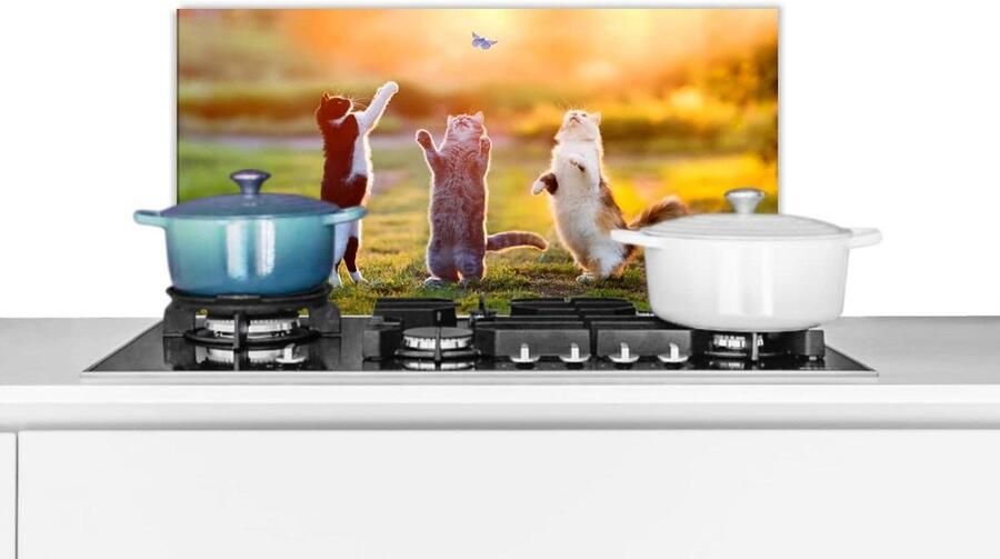 Spatscherm Keuken Wandpaneel Keuken Kookplaat Beschermen Luxe Aluminium 70x30 cm Veelkleurig