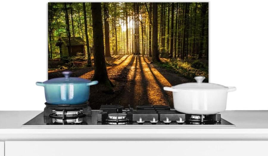Spatscherm Keuken Wandpaneel Keuken Kookplaat Beschermen Scherpe Fotoafdruk 70x50 cm Veelkleurig