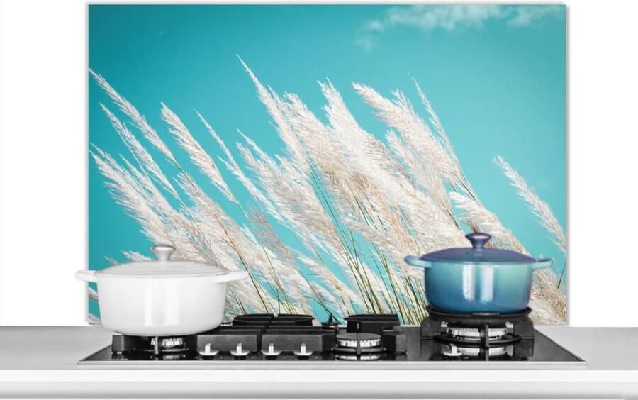 Spatscherm Keuken Wandpaneel Koken Beschermen Luxe Aluminium 100x65 cm Veelkleurig