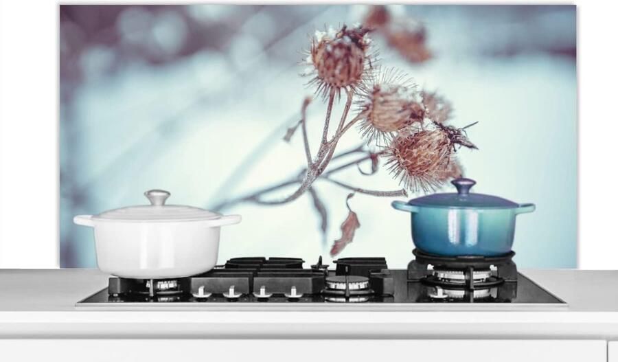Spatscherm Keuken Wandpaneel Koken Beschermen Luxe Aluminium 120x60 cm Veelkleurig