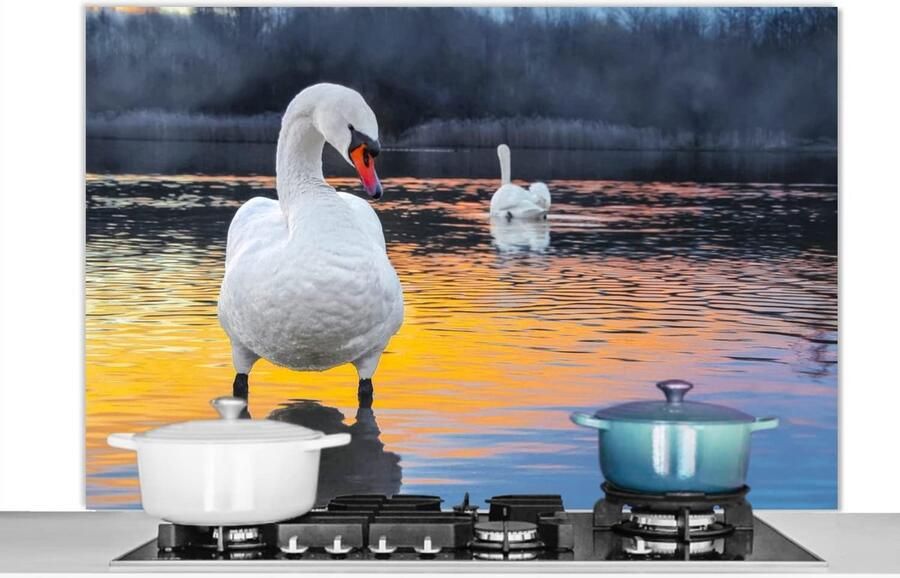 Spatscherm Keuken Wandpaneel Koken Beschermen Luxe Aluminium 120x80 cm Veelkleurig