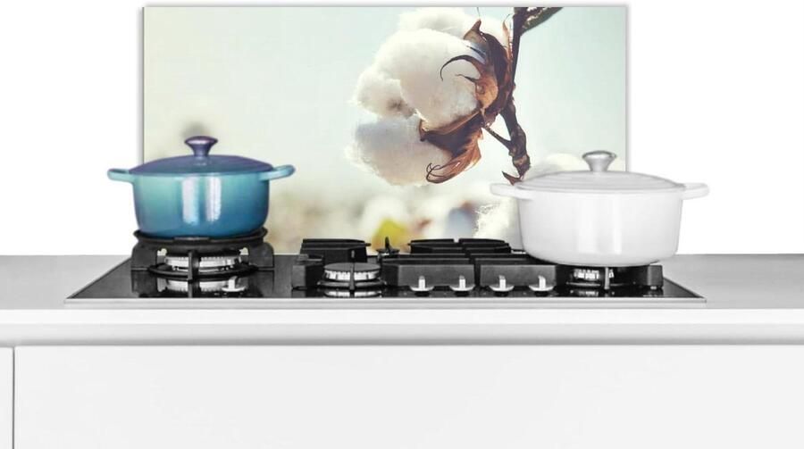 Spatscherm Keuken Wandpaneel Koken Beschermen Luxe Aluminium 60x30 cm Veelkleurig