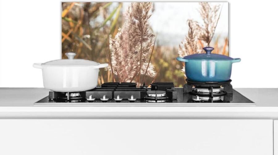 Spatscherm Keuken Wandpaneel Koken Beschermen Luxe Aluminium 70x30 cm Veelkleurig