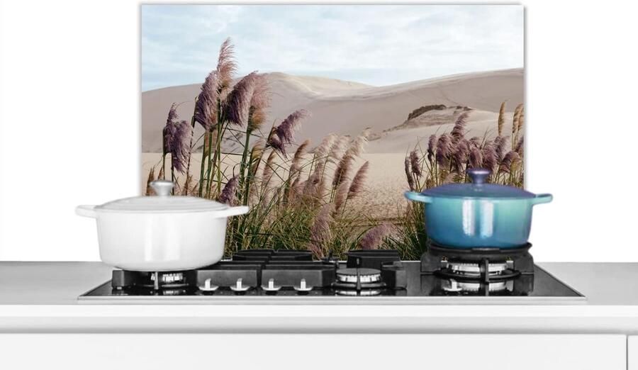 Spatscherm Keuken Wandpaneel Koken Beschermen Luxe Aluminium 70x50 cm Veelkleurig