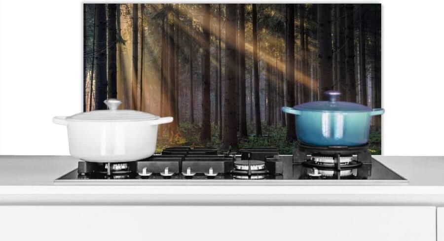 Spatscherm Keuken Wandpaneel Koken Beschermen Luxe Aluminium 80x40 cm Veelkleurig