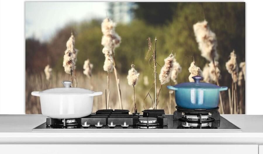 Spatscherm Keuken Wandpaneel Koken Beschermen Luxe Uitstraling 120x60 cm Veelkleurig